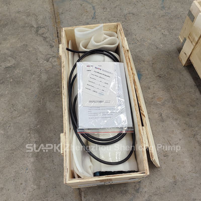 3kw 5.5kw QSP Fountain Pump Corrosion Resistance Water Fountain Pump Musical Fountain