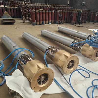 Reinforce Your Marine Operations with a Professional Submersible Seawater Pump