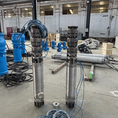 Saltwater Submersible Pump for Port Construction in UAE