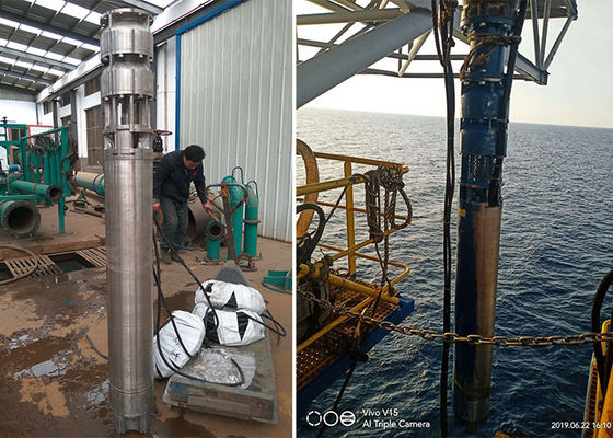 Морская вода глубокий колодец подводный насос 75кВт 100hp SS316L Материал 60м Голова